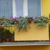 Konkurs na ukwiecone balkony, loggie i ogródki 2018